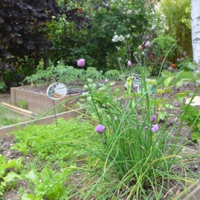 Potager chambre hotes